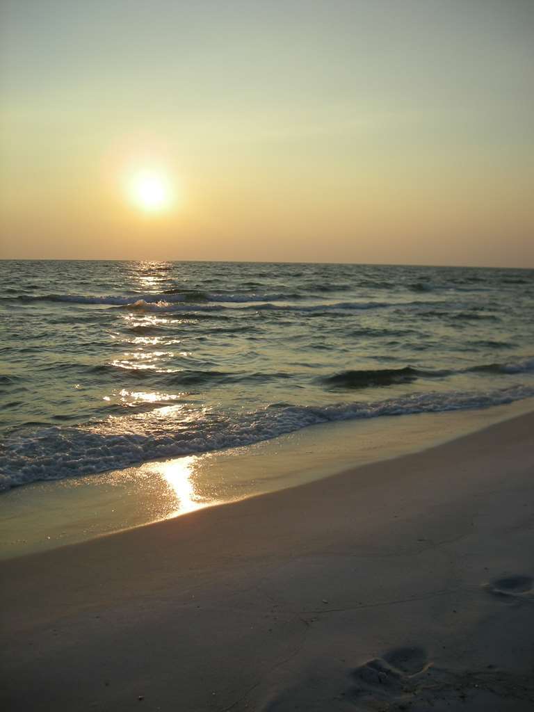 Hampton Inn By Hilton Panama City Beach Upper Grand Lagoon Příroda fotografie